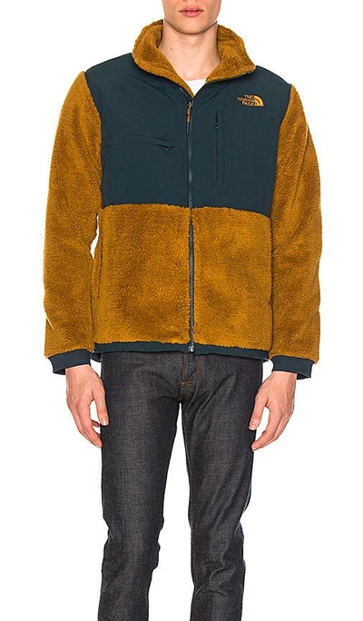 THE NORTH FACE NOVELTY DENALI JACKET
