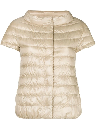HERNO SHORTSLEEVED PADDED JACKET