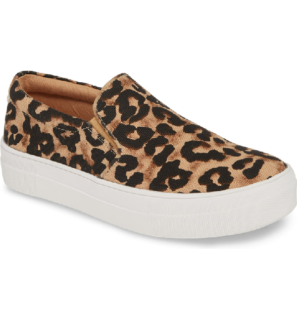 gills leopard print platform sneakers steve madden