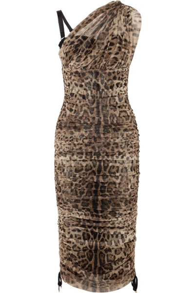 knee length dresses for ladies Dolce & Gabbana Black Sun Mesh Dress  Dolce Vita Hub