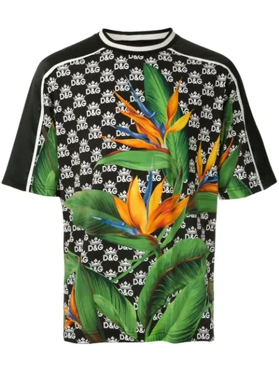 Dolce & Gabbana Bird Of Paradise Dg King T-shirt In Multicolour