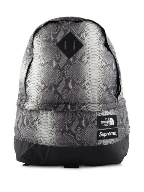 north face supreme snakeskin backpack