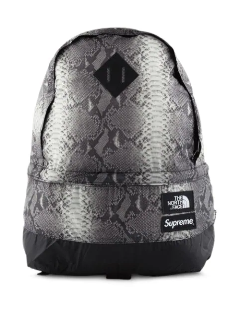 supreme the north face snakeskin lightweight day pack black