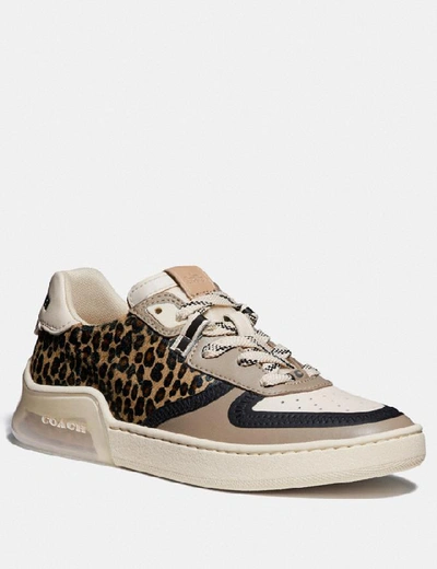 Coach Citysole Court Sneaker Women's In Natural/beechwood