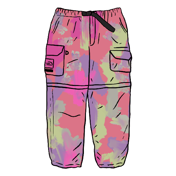 Shop Pre-owned Supreme The North Face Belted Cargo Pant Multicolor