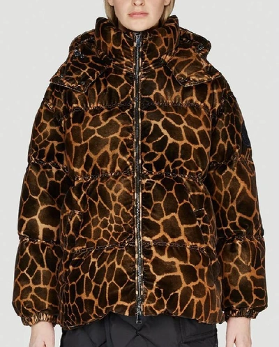 Moncler cheap jacke leopard