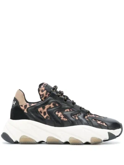 ASH EXTREME LEOPARD-PRINT CHUNKY SNEAKERS
