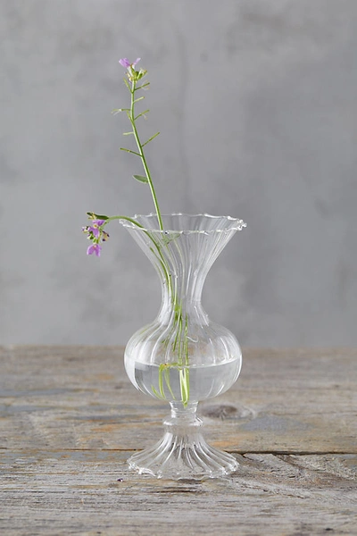 ANTHROPOLOGIE SCALLOPED GLASS VASE