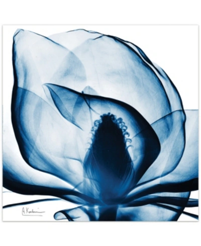 EMPIRE ART DIRECT BLUE MAGNOLIA X-RAY FRAMELESS FREE FLOATING TEMPERED GLASS PANEL GRAPHIC WALL ART, 24" X 24" X 0.2"