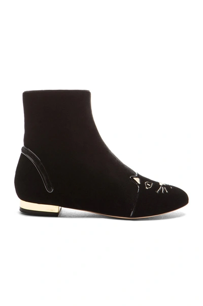 CHARLOTTE OLYMPIA Puss In Boots Velvet Booties In Black