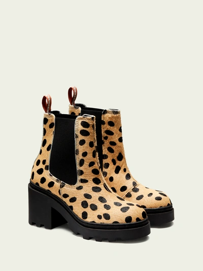SCOTCH & SODA CALISTA - LEOPARD PRINT LEATHER ANKLE BOOTS