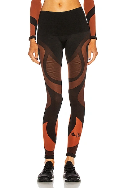 WOLFORD X ADIDAS SHEER MOTION LEGGING