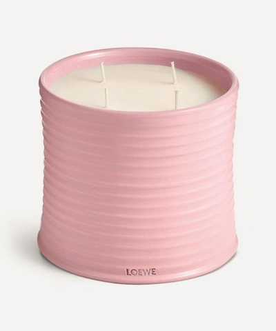 LOEWE LOEWE LARGE IVY CANDLE 2120G