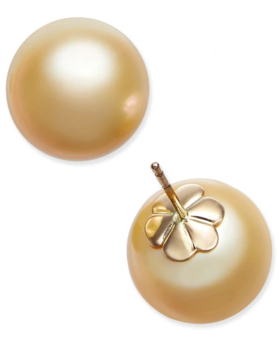 MACY'S CULTURED GOLDEN SOUTH SEA PEARL (13MM) STUD EARRINGS IN 14K GOLD