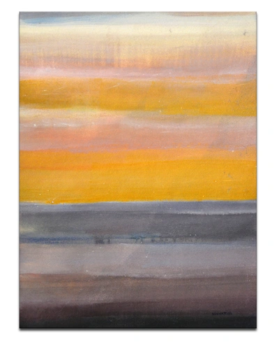 READY2HANGART 'DRY SUNSET' CANVAS WALL ART, 40X30"