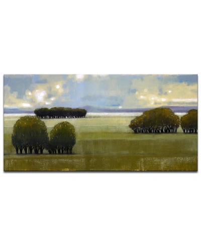 READY2HANGART 'GREEN' PASTURE CANVAS WALL ART, 18X36"