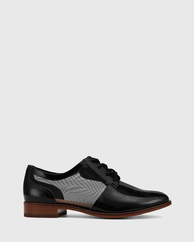 WITTNER HEKTOR LEATHER MESH CUT OUT BROGUES