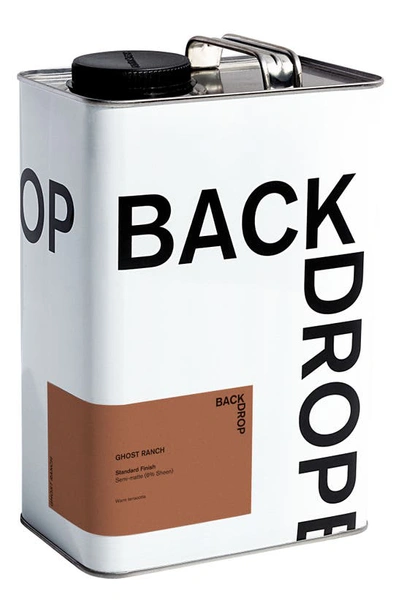 BACKDROP STANDARD FINISH SEMIMATTE INTERIOR PAINT