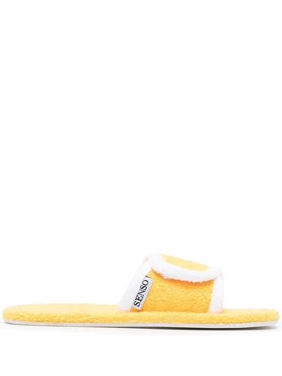 SENSO IRIS SLIDES