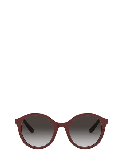 DOLCE & GABBANA DG4358 BORDEAUX SUNGLASSES