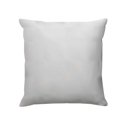 FRONTGATE OUTDOOR PILLOW INSERTS