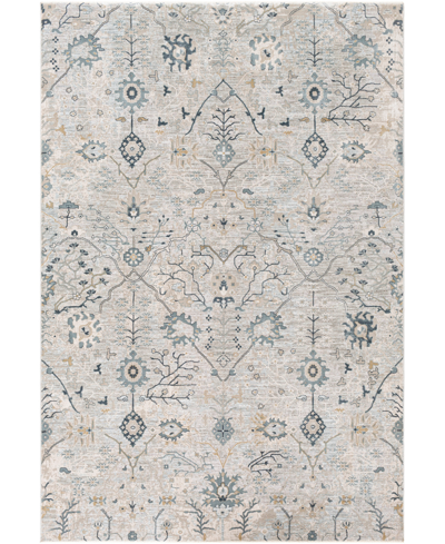 SURYA BRUNSWICK BWK2316 2'7" X 4' AREA RUG