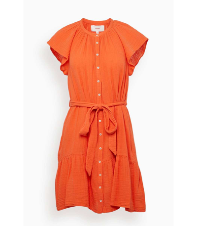 XIRENA JUDE DRESS IN TIGERLILY