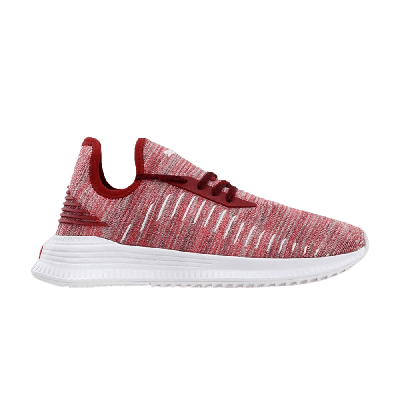 PUMA PUMA AVID EVOKNIT SUMMER 'RED DAHLIA'