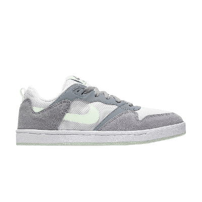 NIKE WMNS ALLEYOOP SB