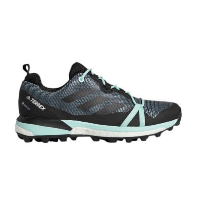 ADIDAS ORIGINALS WMNS TERREX SKYCHASER LT GTX 'ASH GREY MINT'