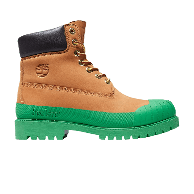 TIMBERLAND BEE LINE X 6 INCH 'WHEAT GREEN'