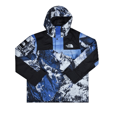SUPREME SUPREME X THE NORTH FACE MOUNTAIN PARKA 'MOUNTAIN PRINT'