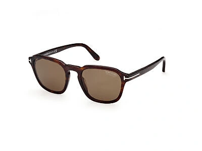 TOM FORD TOM FORD SUNGLASSES FT0931 AVERY 52H HAVANA BROWN MAN