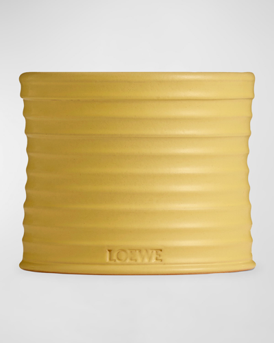LOEWE 21.5 OZ. MEDIUM HONEYSUCKLE CANDLE