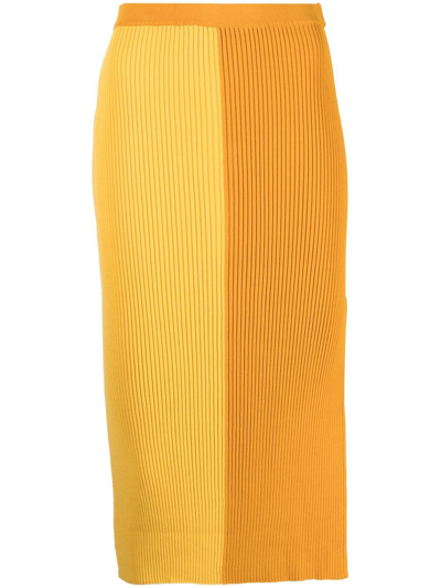 STAUD LORRAINE TWO-TONE SKIRT