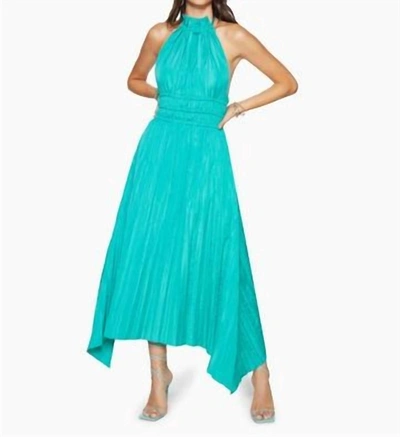 RAMY BROOK Delaney Halter Maxi Dress In Oasis