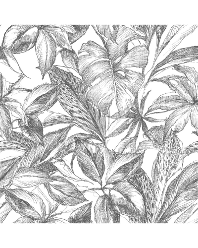 NUWALLPAPER NUWALLPAPER BLACK CANOPY PEEL & STICK WALLPAPER