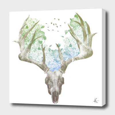 CURIOOS DEER SKULL