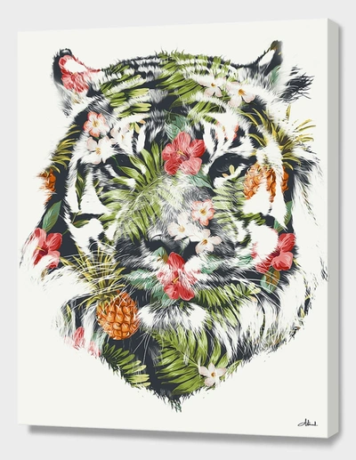 CURIOOS TROPICAL TIGER