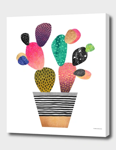 CURIOOS HAPPY CACTUS