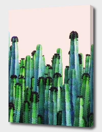 CURIOOS CACTUS V5