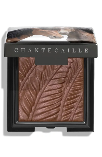 CHANTECAILLE CHANTECAILLE MATTE EYESHADOW