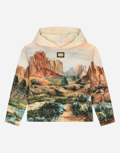 DOLCE & GABBANA HOODIE WITH CANYON PRINT AND LOGO TAG
