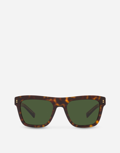 DOLCE & GABBANA DOMENICO SUNGLASSES