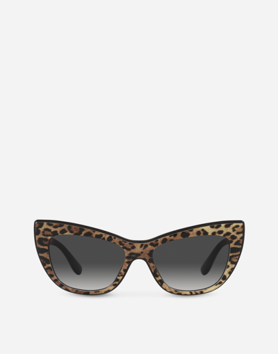 DOLCE & GABBANA NEW PRINT SUNGLASSES