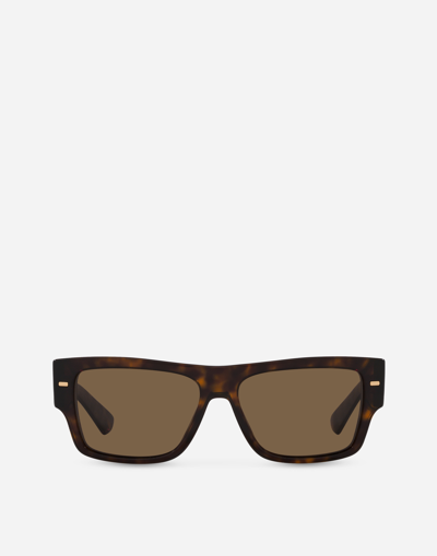 DOLCE & GABBANA LUSSO SARTORIALE SUNGLASSES