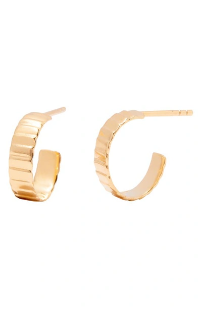 BROOK & YORK BROOK AND YORK NATALIE HOOP EARRINGS