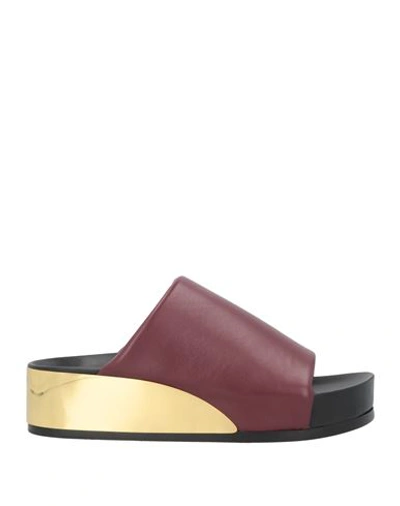 JIL SANDER JIL SANDER WOMAN SANDALS BURGUNDY SIZE 6 SOFT LEATHER