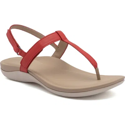 ABEO ABEO OASIS T STRAP SANDAL