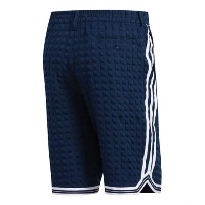 ADIDAS ORIGINALS adidas Checkered 'Collegiate Navy White'